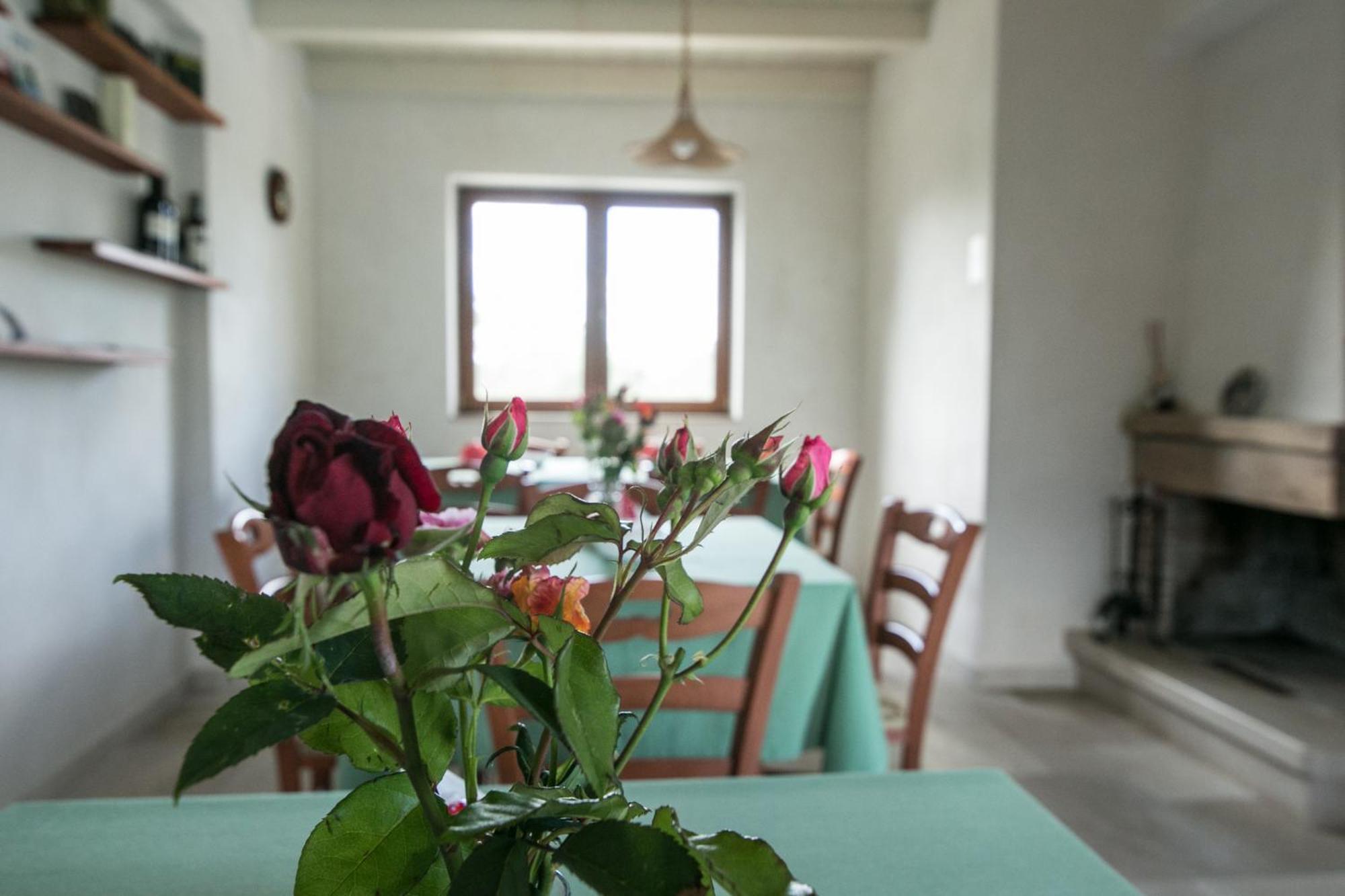 Trulli Boccadoro Ξενοδοχείο Ostuni Δωμάτιο φωτογραφία